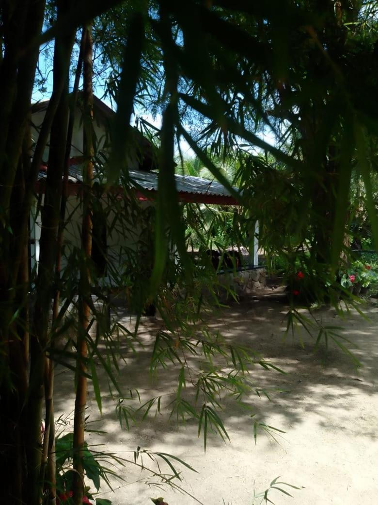 Soma Cabana, Homestay & Restaurant تانجالي المظهر الخارجي الصورة