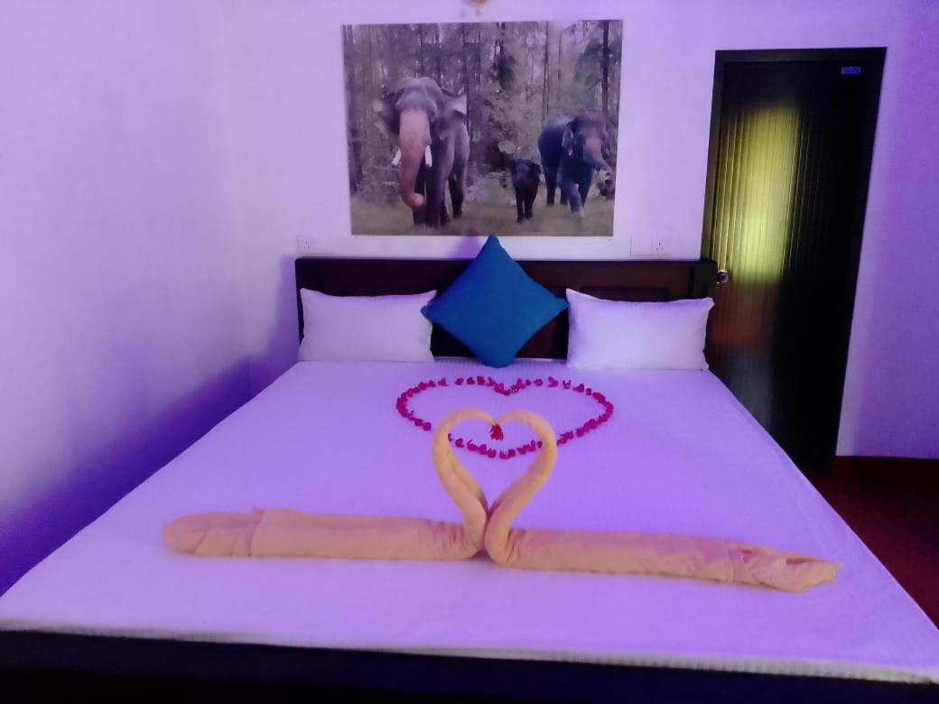 Soma Cabana, Homestay & Restaurant تانجالي المظهر الخارجي الصورة